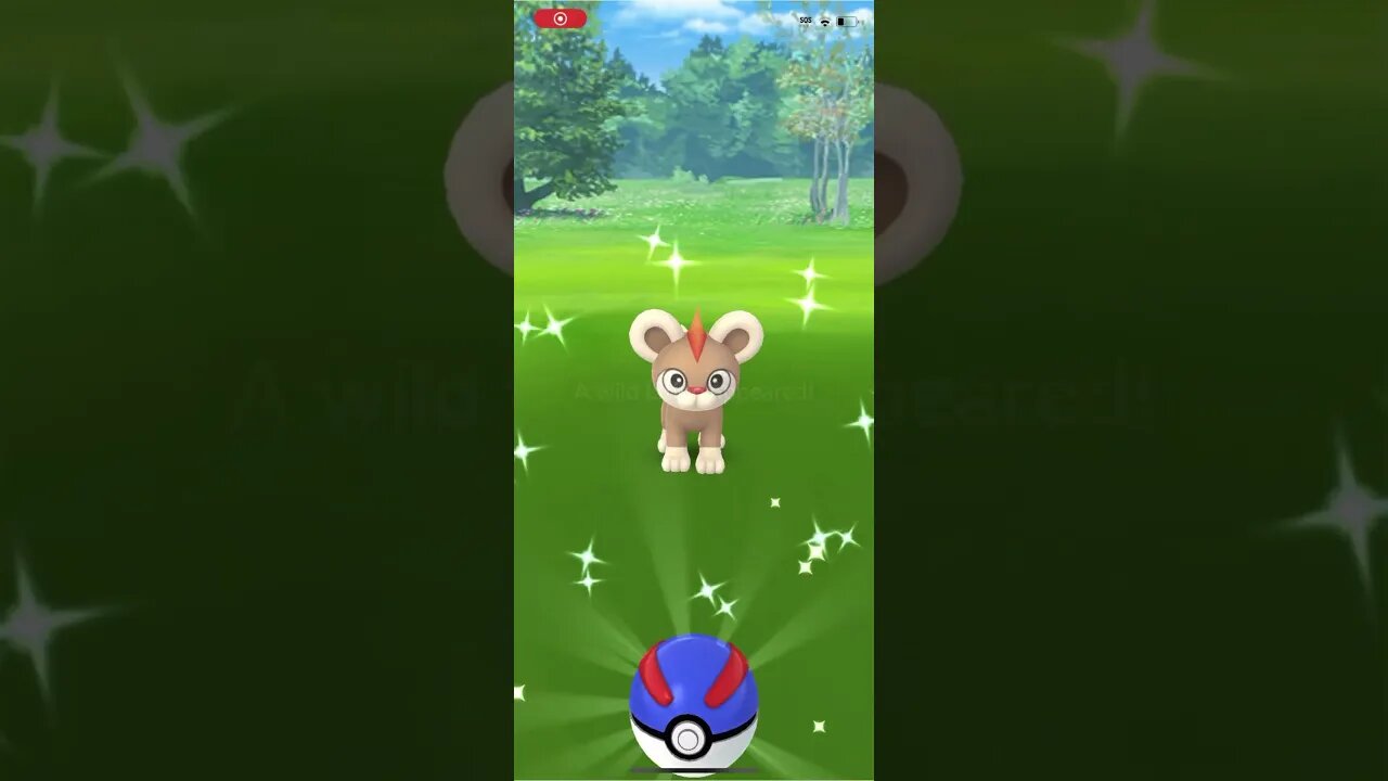 Shiny Compilation