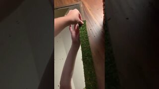 Mirror Making Tiktok ciara bradley17