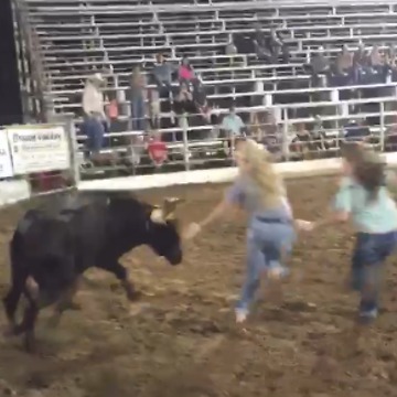 Bull vs. Group of People | What Could Possibly Go Wrong?