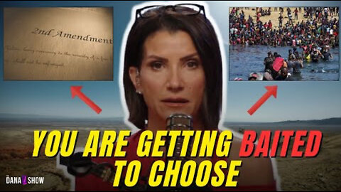 Dana Loesch Shoots STRAIGHT About Allowing Illegals To Own Firearms