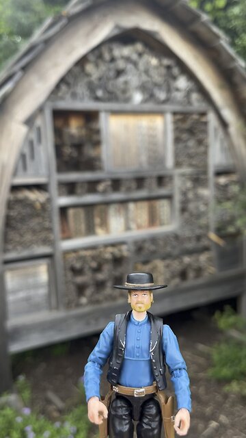 Happy World Honey Bee Day!