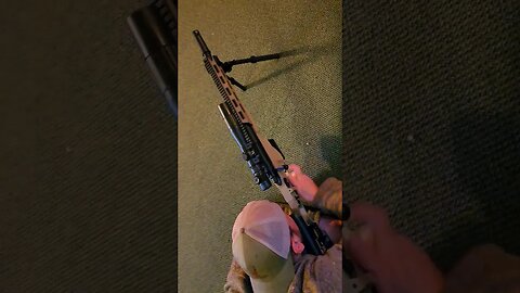 Coolest Rifle Ever!