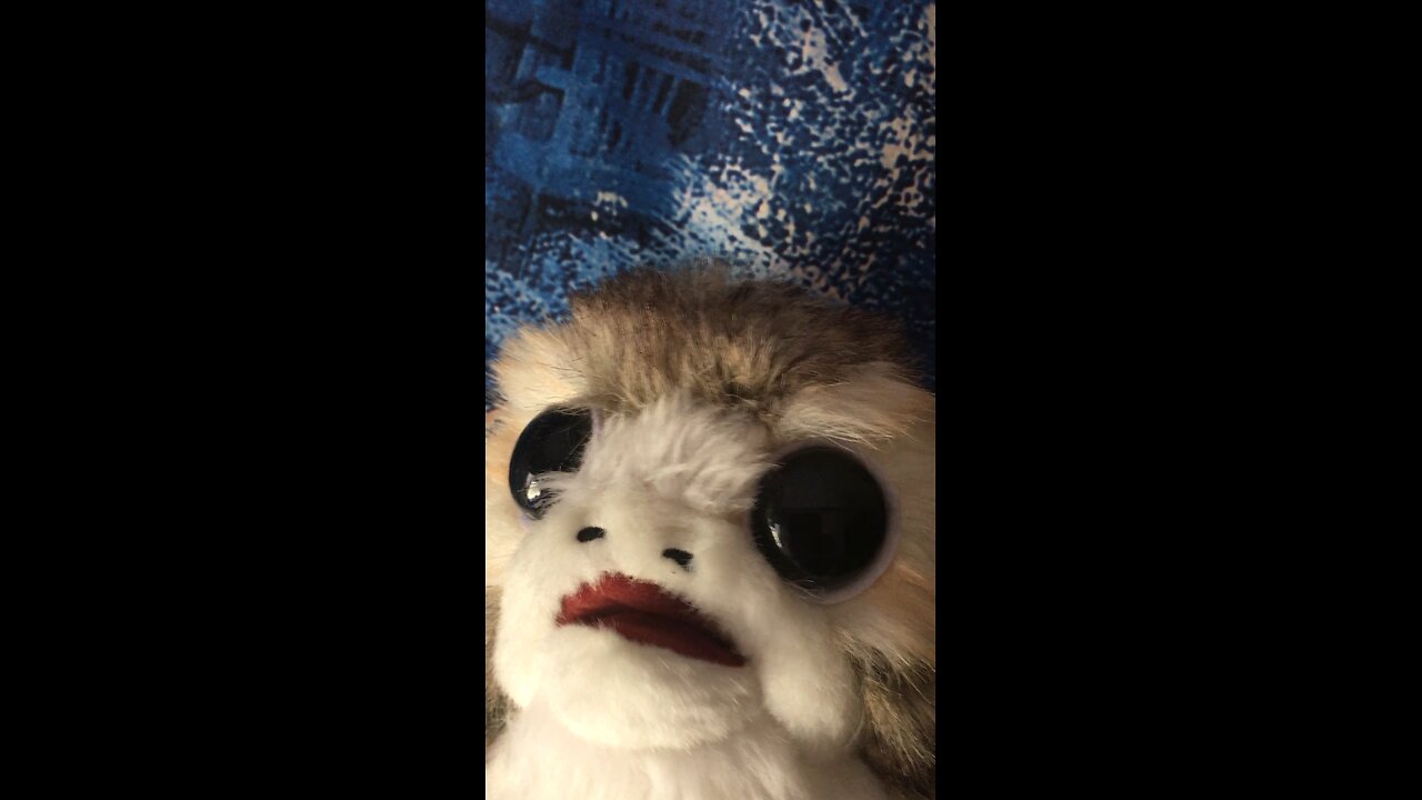 Porg on the loose!