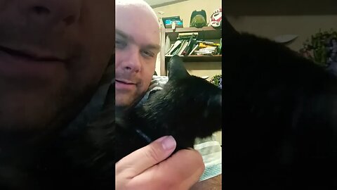 Kitty be there #cat #shortsvideo #kitty #shortsfeed #youtubeshorts #cutekitty #catshorts #catlover