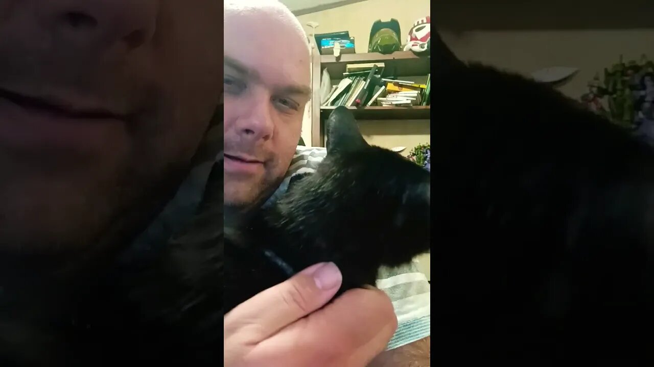 Kitty be there #cat #shortsvideo #kitty #shortsfeed #youtubeshorts #cutekitty #catshorts #catlover