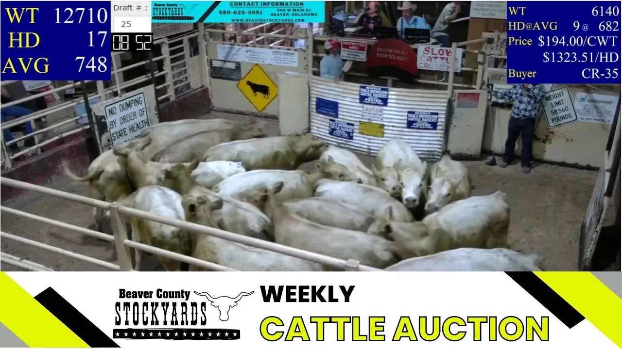 6/6/2023 - Beaver County Stockyards Livestock Auction