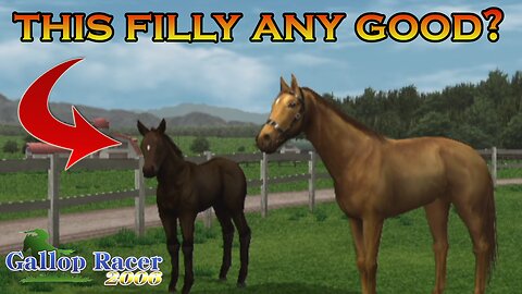 a new filly has arrived - gallop racer 2006