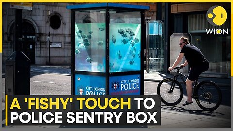 Banksy unveils seventh artwork in a week on a Police Sentry Box | WION