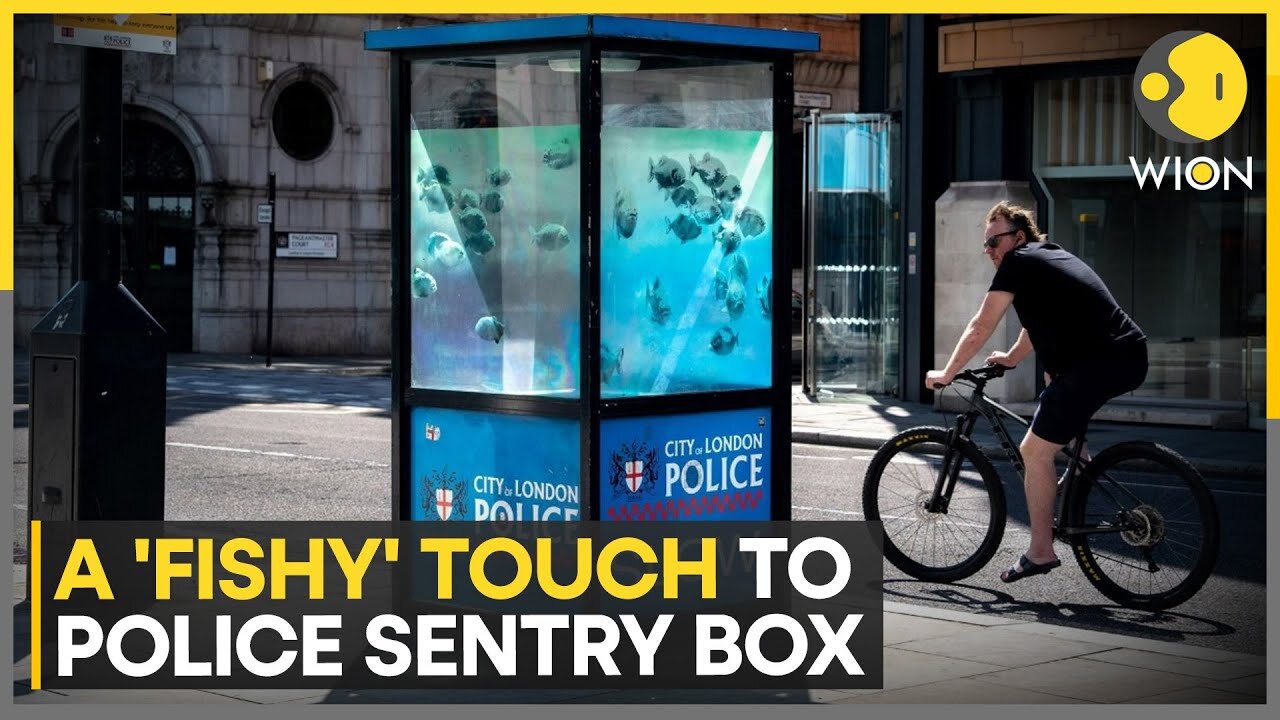 Banksy unveils seventh artwork in a week on a Police Sentry Box | WION