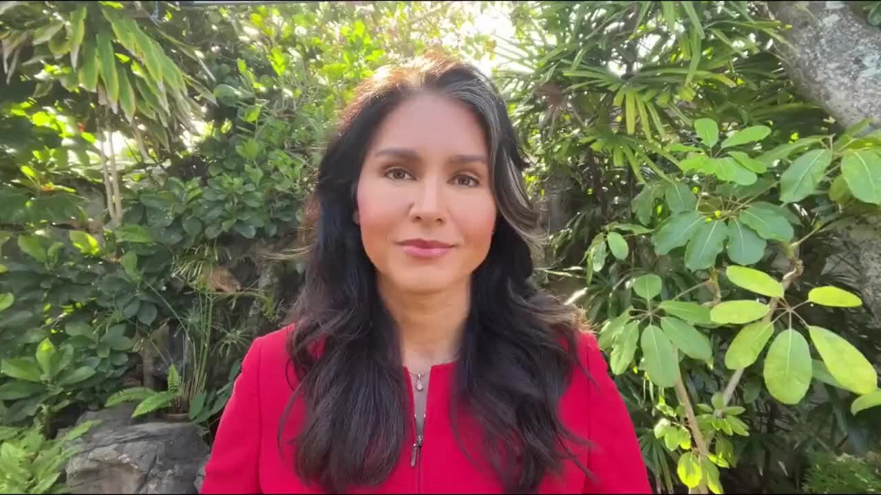 Tulsi Gabbard: Romney Should Resign For His Slanderous Accusations Against Me