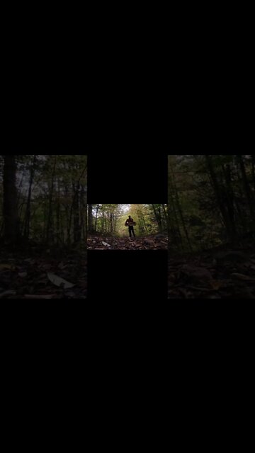 #trailer #bitchute #comingsoon #lightworker #newearth #performances #buildingbridges