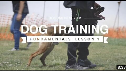 DOG TRAINING FUNDAMENTAL:LESSON 1