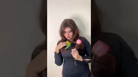flower and parrots #shorts #viral #please #movie #youtubeshorts