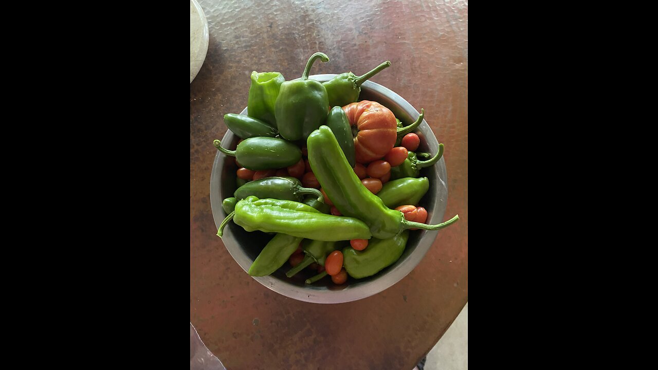 Summer's Last Hurrah, Rhubarb Pie And Garden Harvest.