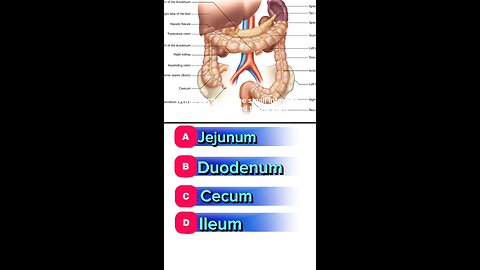 Intestine MCQs question answer #smallIntestine #largeIntestine #anstomy #mcqs #3dmedico