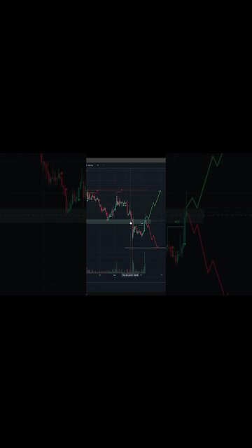 #DOGECHAIN In A DOGFIGHT!!