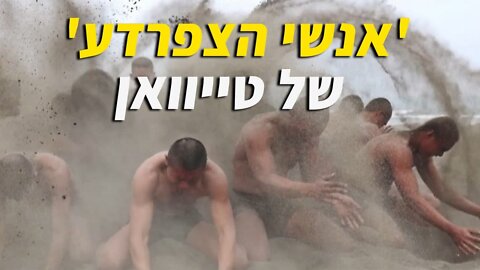 אנשי הצפרדע של טייוואן