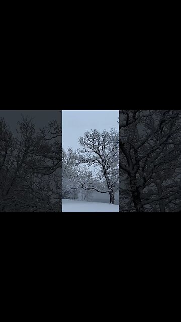 Winter wonderland. #minnesota #winterwonderland #philippinestravelvlog #cebu #dumaguete #expat