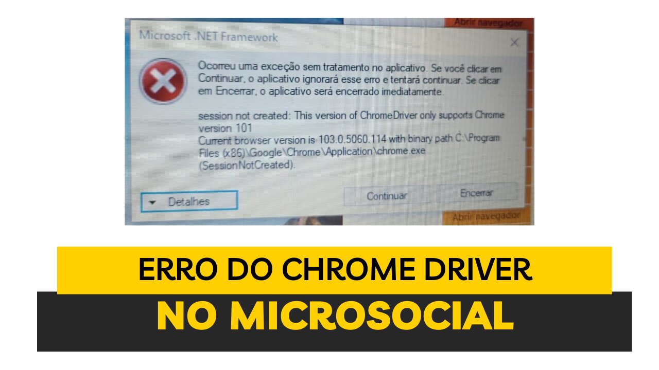 Como corrigir o erro do Chrome Driver no MICROSOCIAL