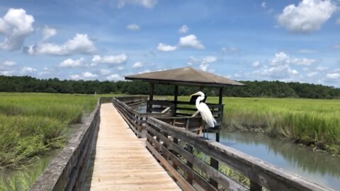 Huntington Beach State Park