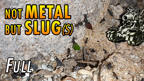 ASMR | Ants night meeting with friendly slimy visitors - Full