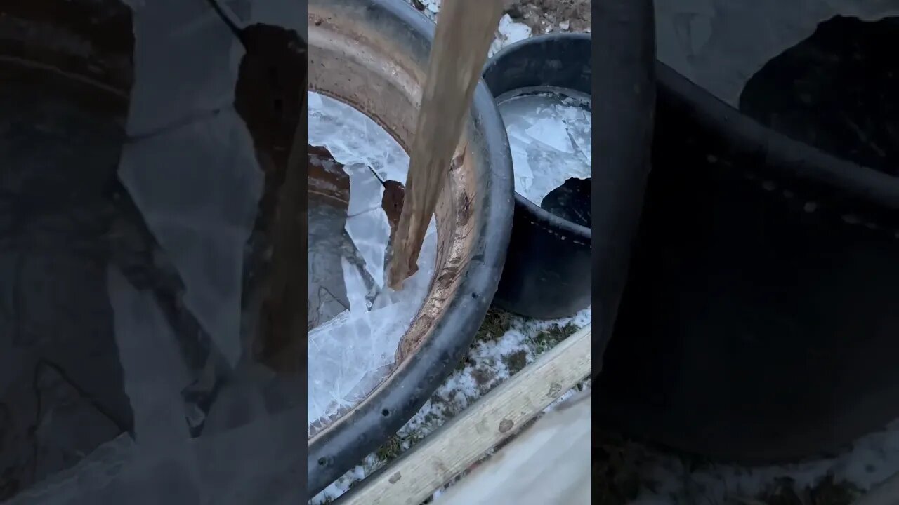 Hawaiian Guy Breaking Ice Frozen to a bucket #fyp #satisfying