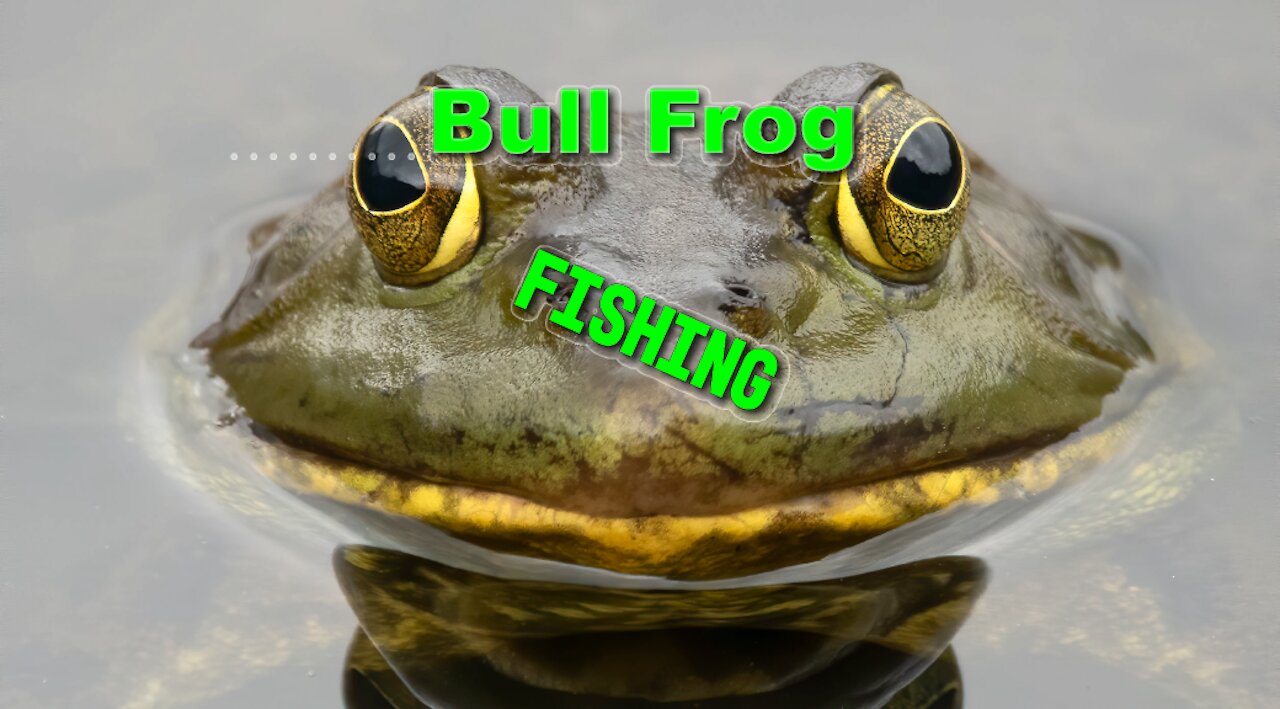 Bullfrog Fishing