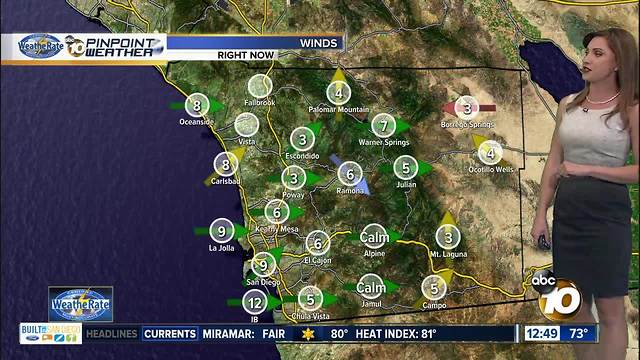 Eclipse with Meteorologist Megan Parry