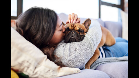 Cute Dogs getting a hug by their owners animals compilation 2022 sweet and lovely