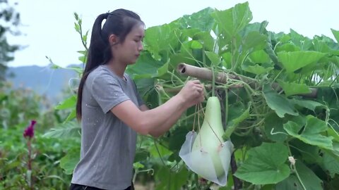 Making Gourd Containers with Self Grown Gourds 2