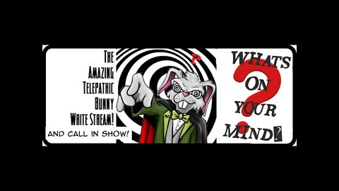 The Amazing Telepathic Bunny Write Stream! What's On Your Mind?