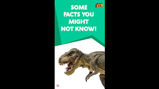 Top 4 Facts About Dinosaurs *