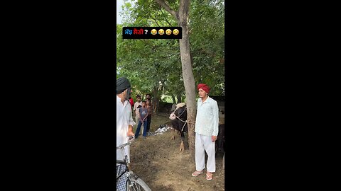 funny video