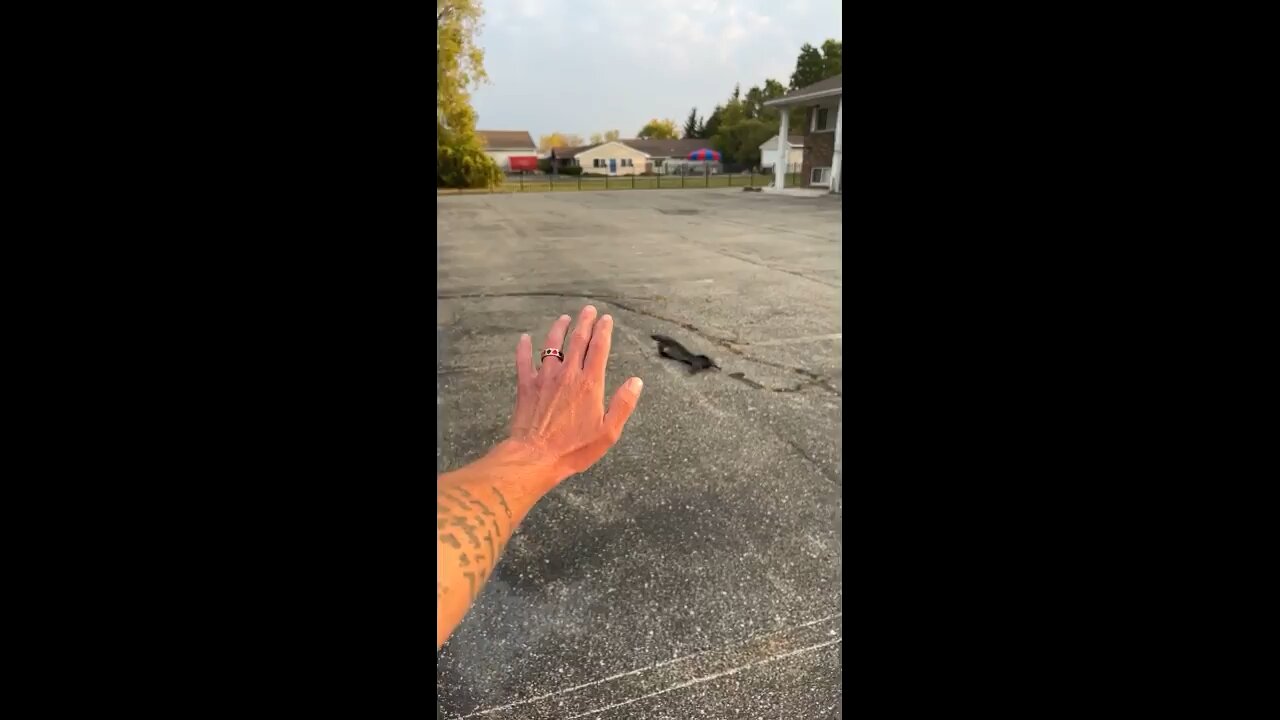 Bag Slowing Across Windy Parking Lot [~24 MPH wind speed]