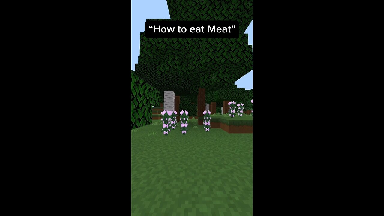 Minecraft Tutorials by Kids be like 💀