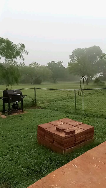 Dogs A live stream test