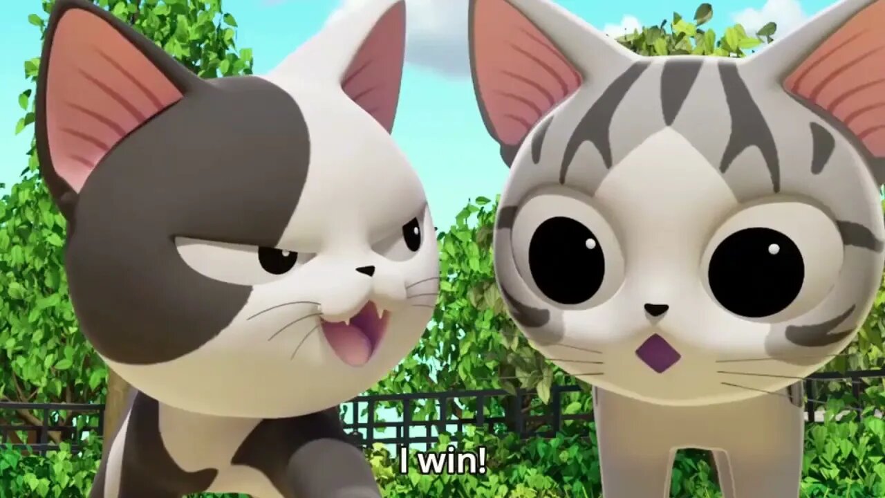 Chi's Cute Cat Episode - Chi make new friend 1