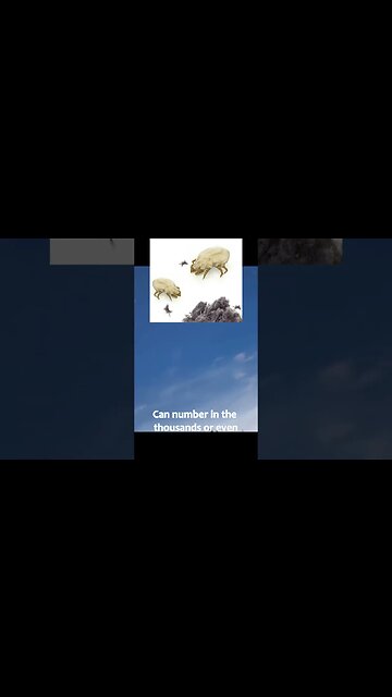 Interesting Amazing Facts #shorts