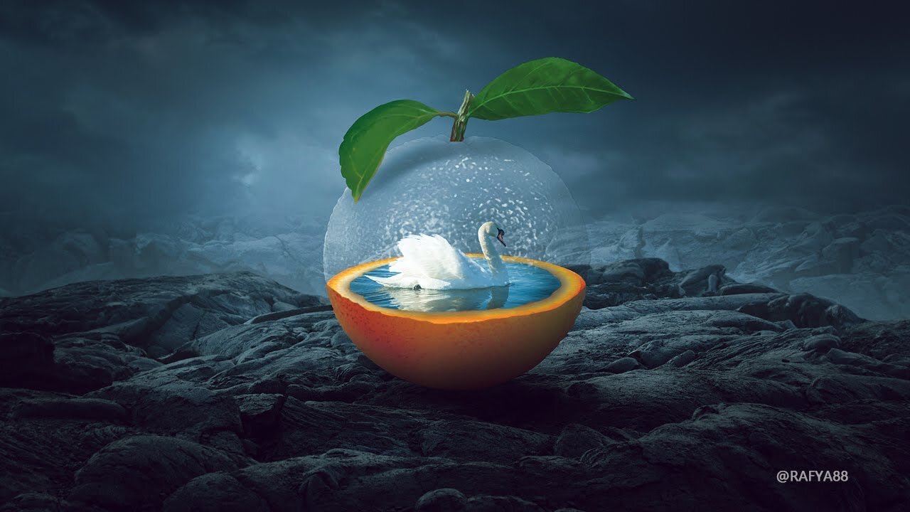 How to Make Transparent Orange and Swan Inside Surrealism Effect in Photoshop