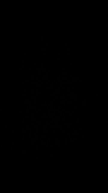 Backstabber, Democrat party