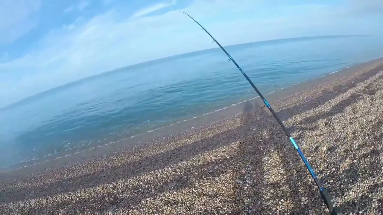 Mackerel Mayhem Montage - Mackerel Fishing At Chesil Beach-2