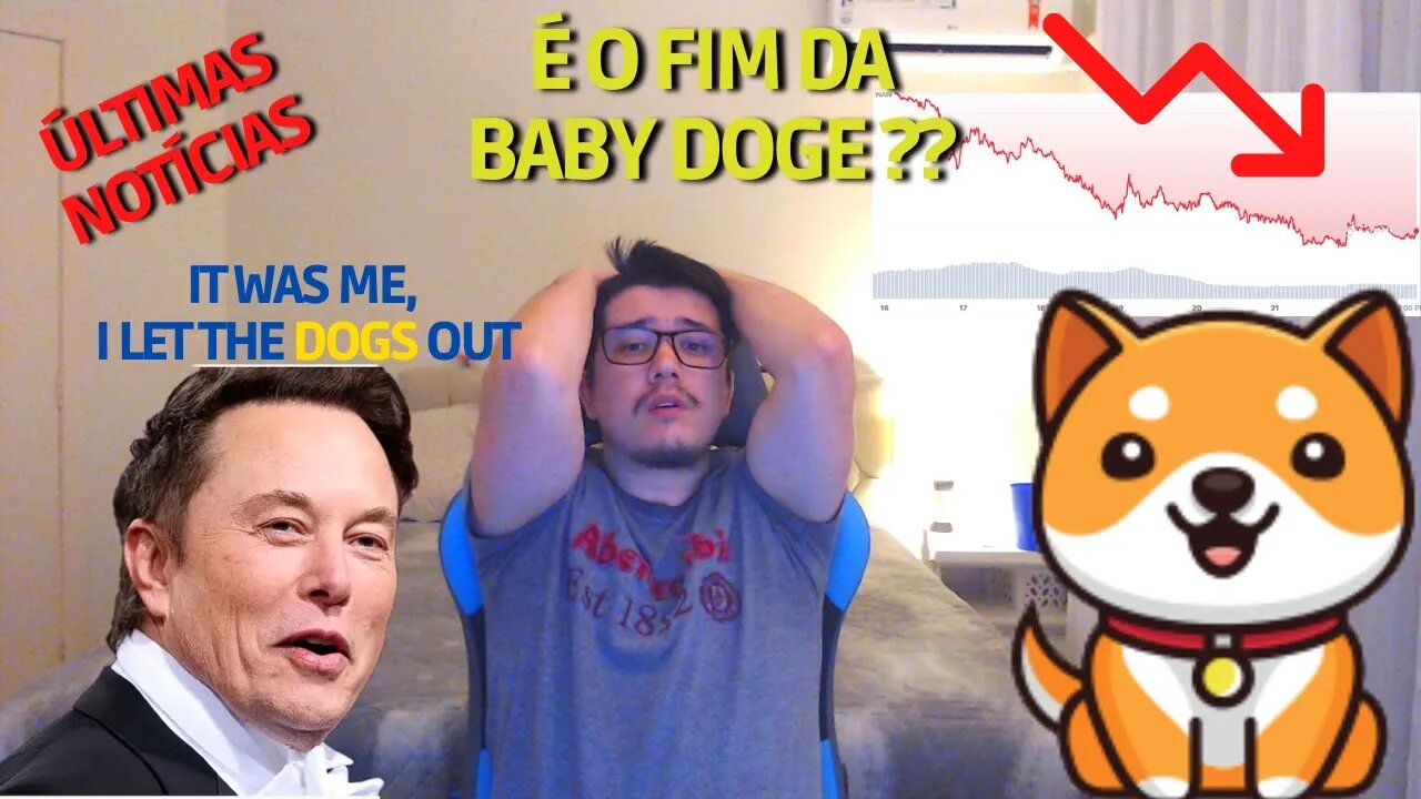 O Fim da Baby doge!! Só que não | #BabyDogeCoin 🚀