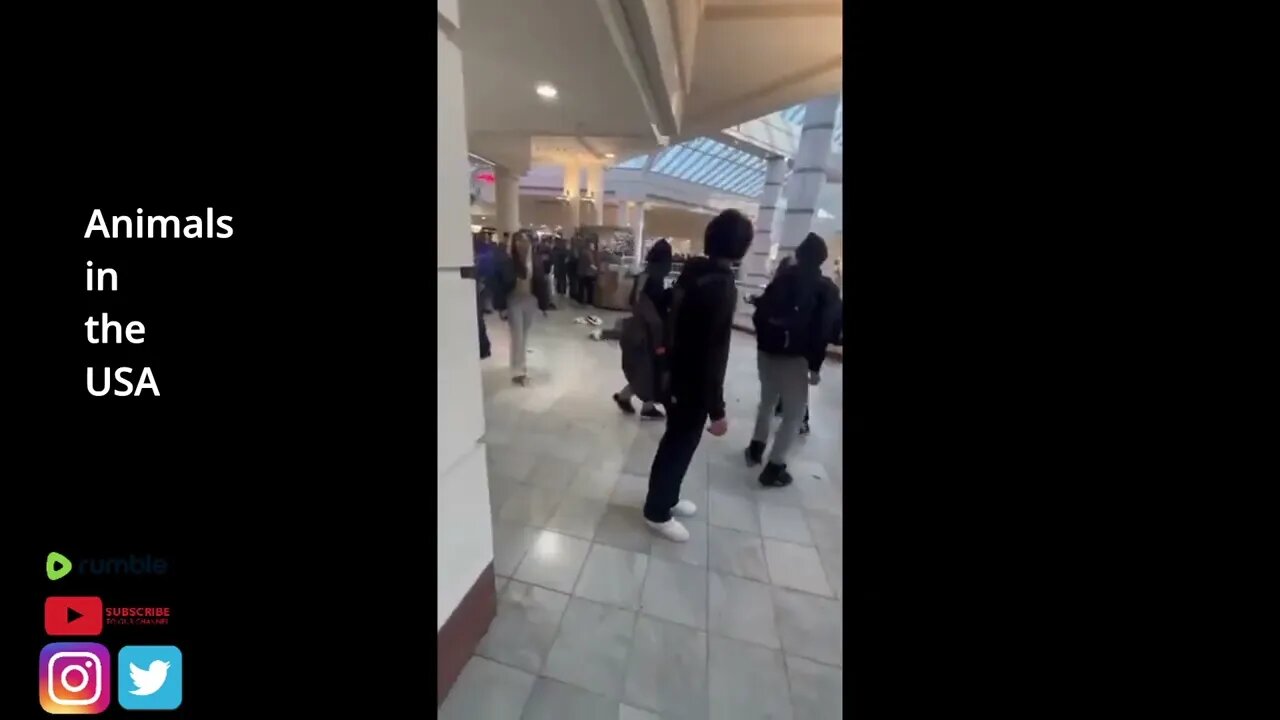 Fight Club in the USA Part 6