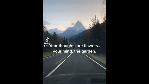 #ShowerThoughts