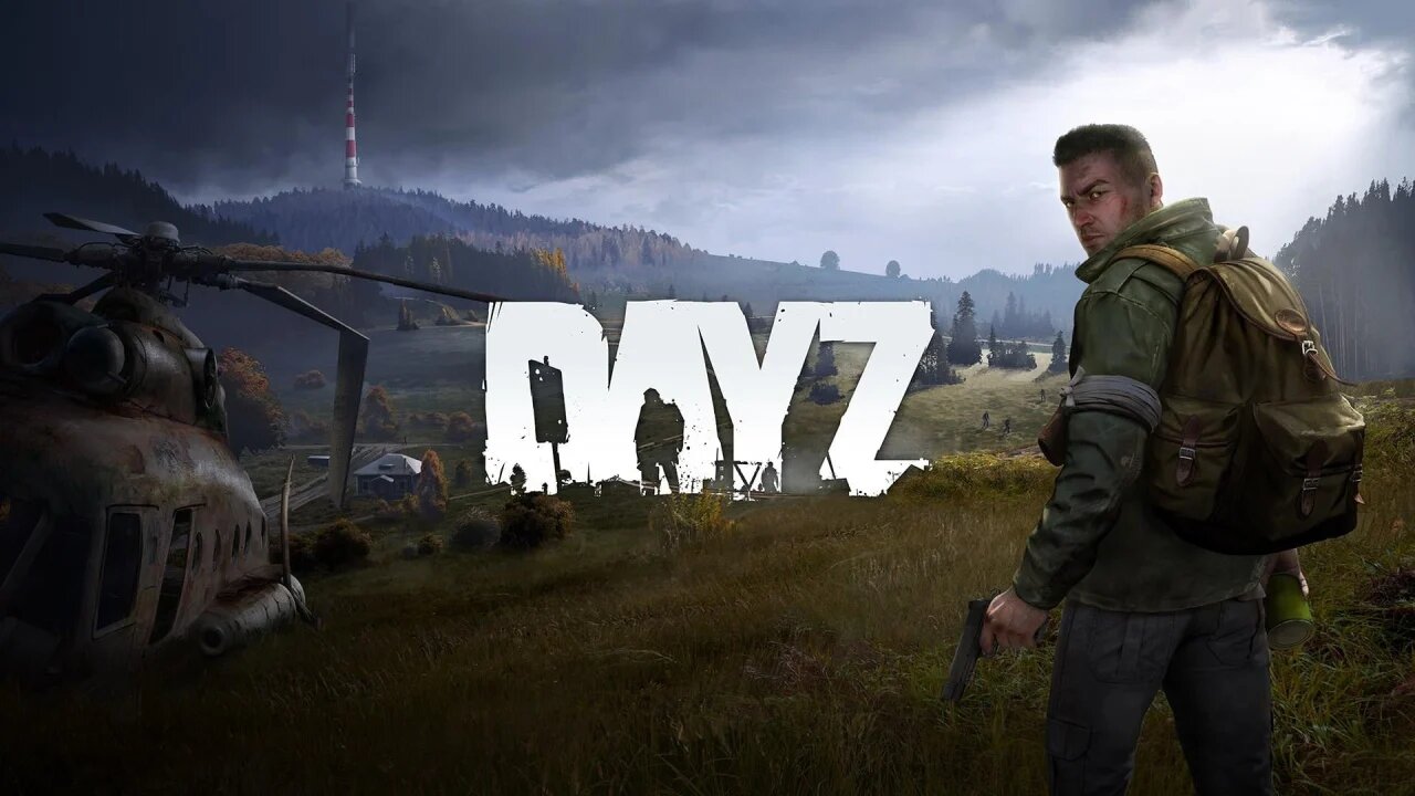 Surviving DayZ