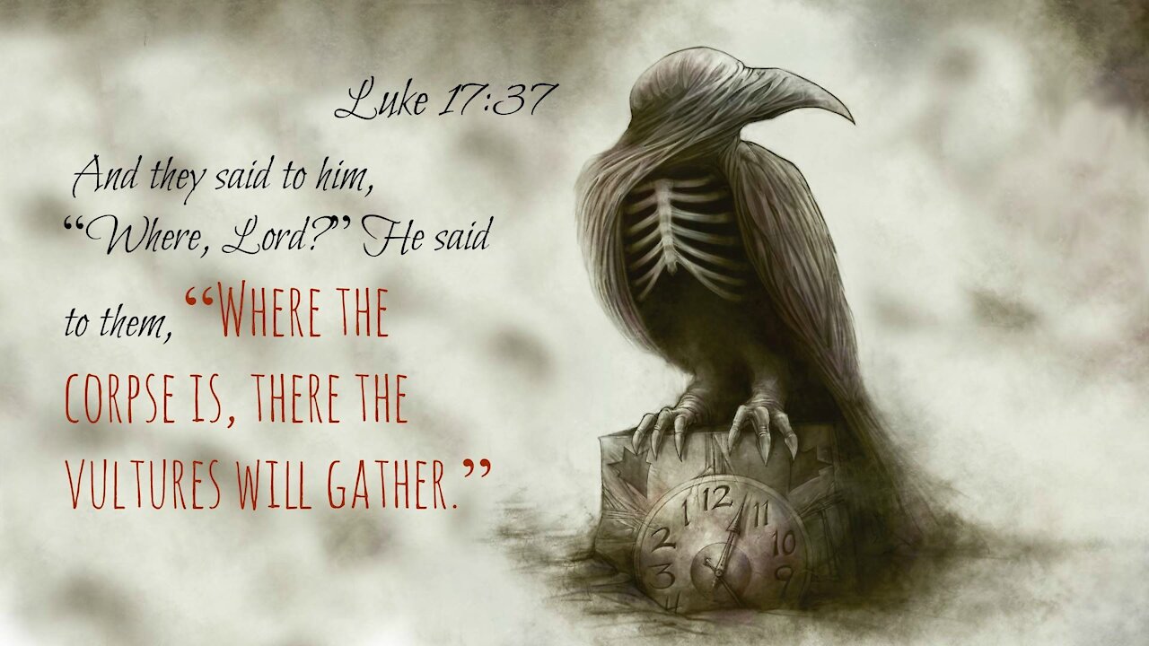 Luke 17:37 - Where the carcasses are there the eagles (vultures) will gather
