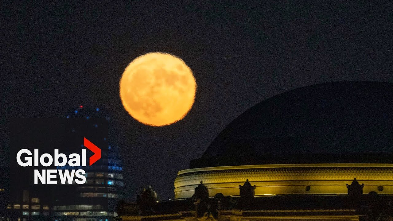 Rare blue supermoon rises in cities across globe in celestial spectacle