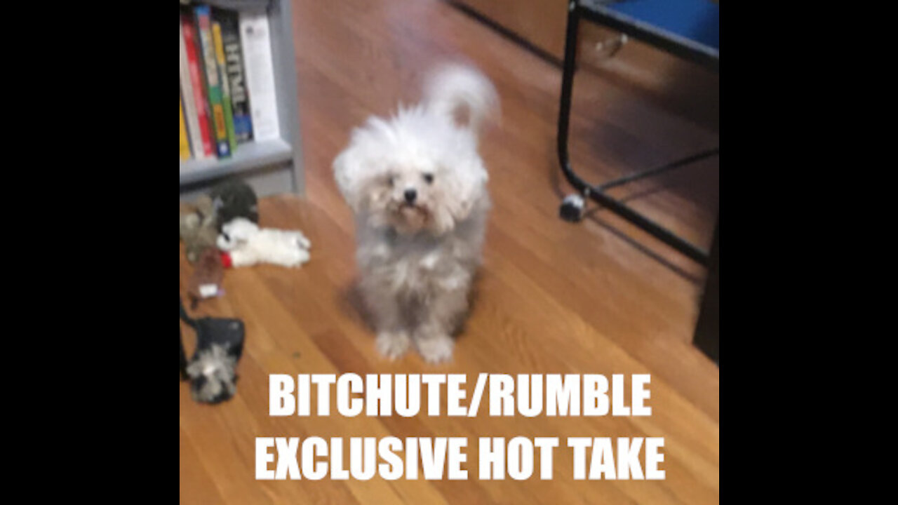 Rumble/Bitchute Exclusive Hot Take: October 18th News Blast!