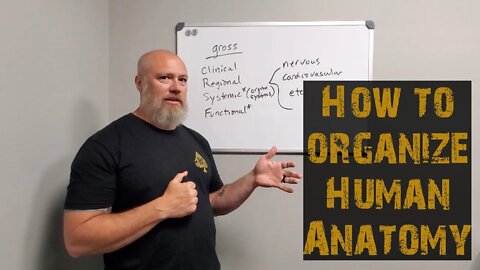 Types of Anatomy and Intro to Organization