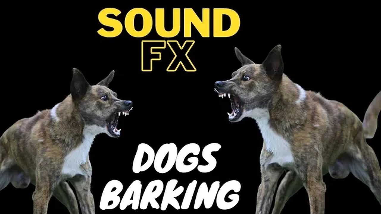 Aggressive Dog Barking Sound #shorts #youtube #viral #trending #doglover #dogbarking